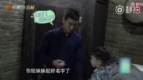 科普爆料小郎君视频,带你走进科学世界的奇妙之旅 第2张 科普爆料小郎君视频,带你走进科学世界的奇妙之旅 第2张