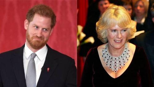 王室爆料卡米拉视频,卡米拉私密视频曝光，真相令人震惊